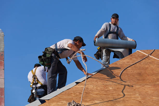 Best Roof Gutter Cleaning  in Pleasantville, NJ